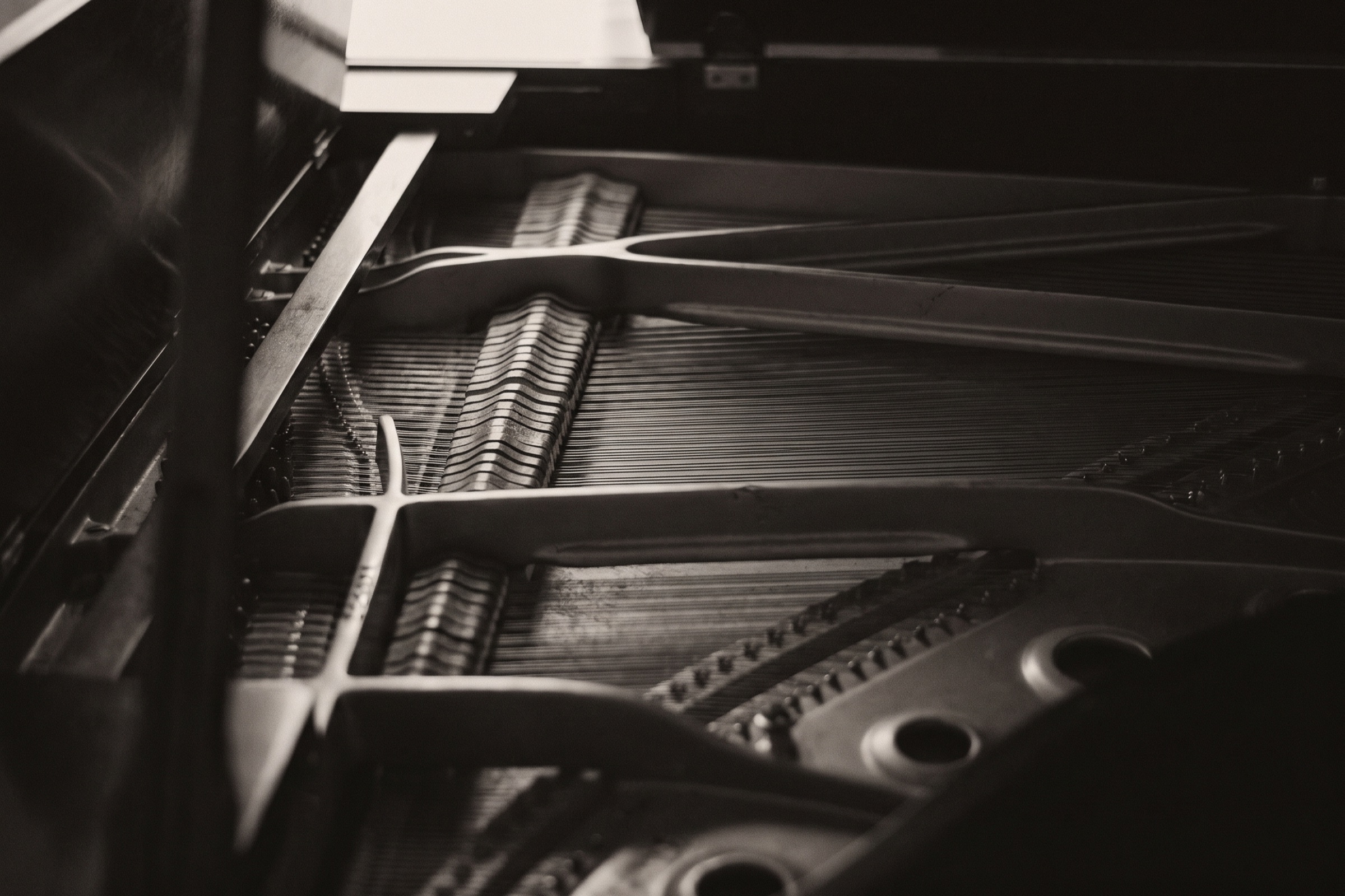 Felt hammers and taut strings inside a grand piano, lined up in precise rows under a raking light.
